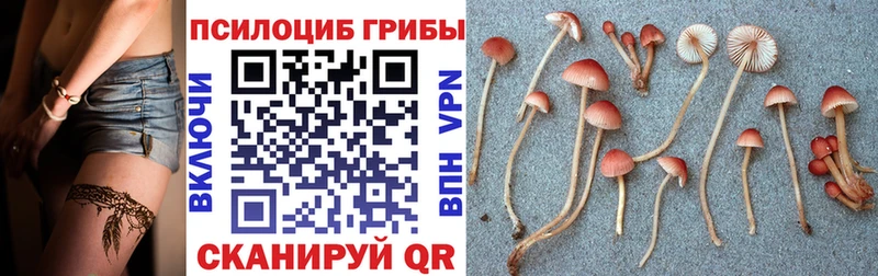 Галлюциногенные грибы MAGIC MUSHROOMS  Купить где  Трёхгорный 